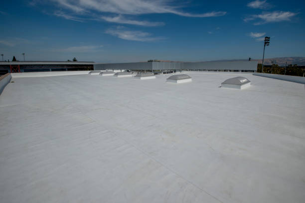 Best Roof Coating and Sealing  in Vienna, GA