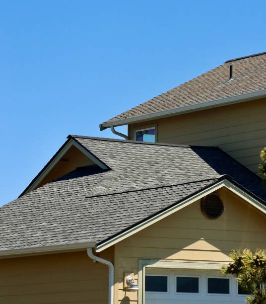 Best Asphalt Shingles Roofing  in Vienna, GA